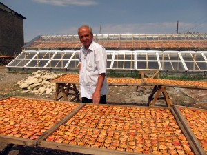 NEF returned to Armenia in 2004 to support rural economic development with micro-financing. In 2013, NEF expanded its focus to include economic programs for survivors of domestic violence. Drying peaches in Ptghavan, Tavush Province, Armenia, 2011.