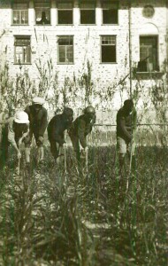 Boys working in the onion field at Syra Orphanage. Syra, which housed 3,000 orphans, also functioned as an agricultural school. The gardens, fields, and livestock helped the orphanage to be self-sufficient while teaching the children valuable skills.