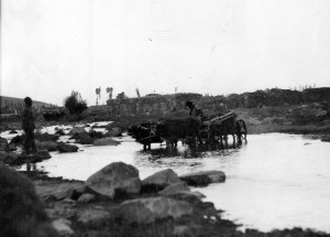 Cow cart crossing a river