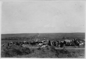 A refugee community. The refugees are traveling by wagon with a few large animals. Location unknown.