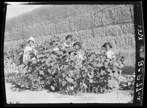 Nurse and girls in the garden at Alexandropol. This nurse and these girls appear in a series of photographs that may have been taken for promotional purposes.