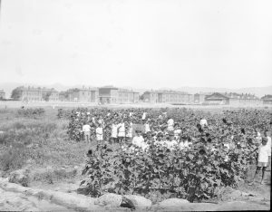 A large group of boys and girls in the orphanage gardens at Polygon Orphanage in Alexandropol. The barracks of the former military base are visible in the background. 